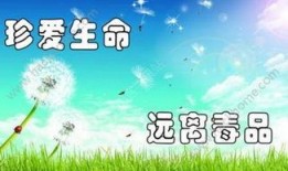 禁毒在线观看,揭秘网络毒品危害，共筑无毒家园